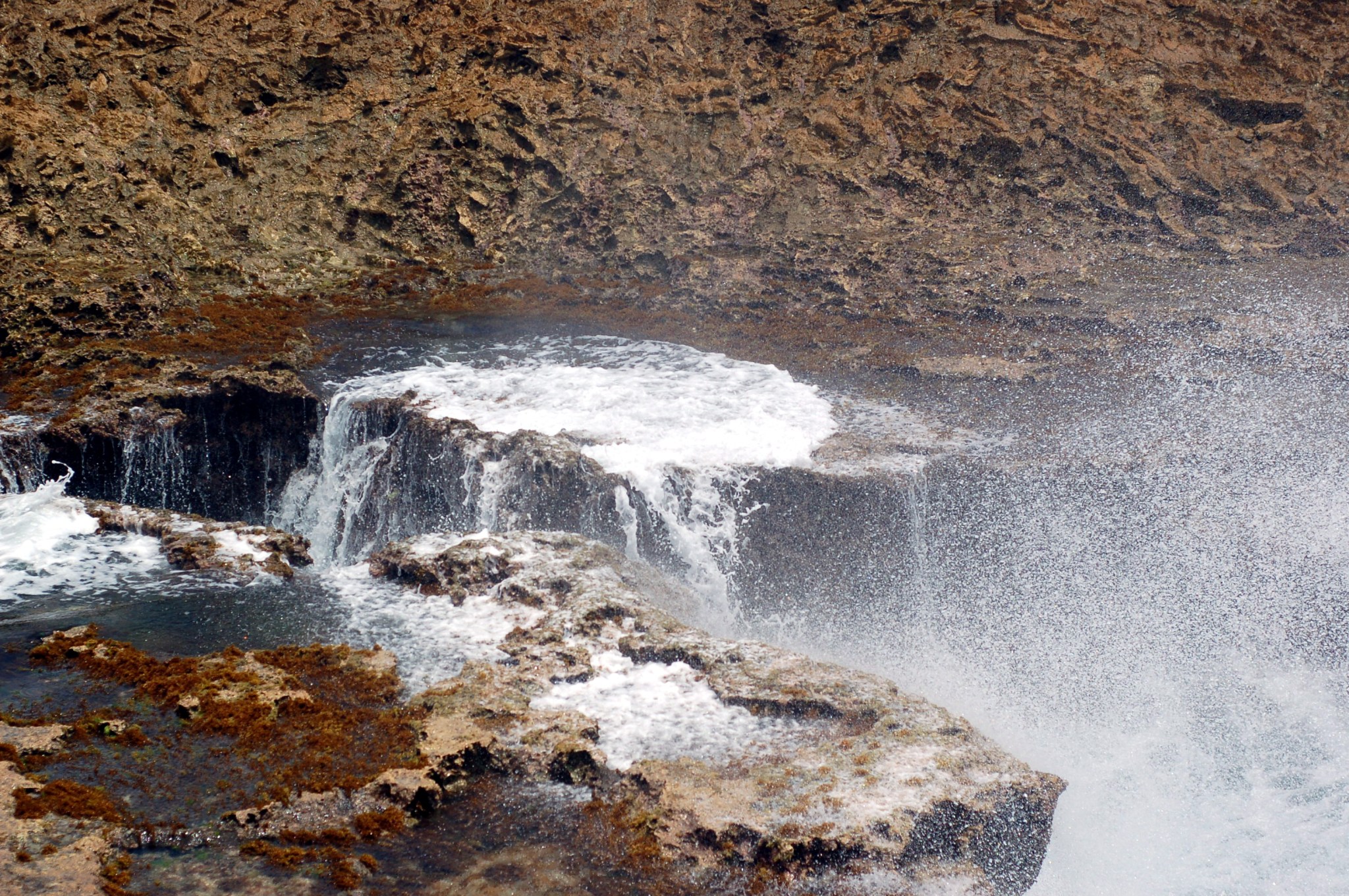 post-spray pistol curacao_0145
