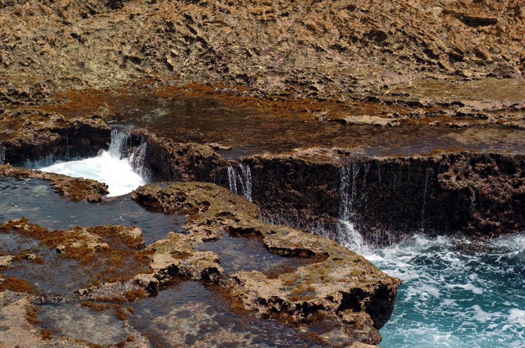 pre-spray pistol curacao_0143