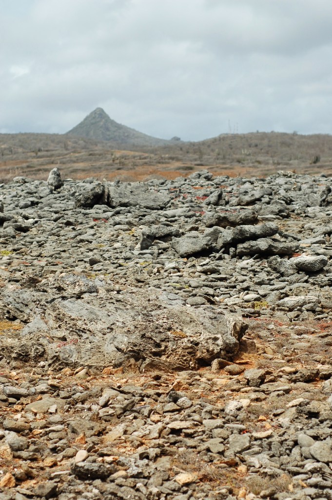 rockscape and mountain curacao shete boka_0086