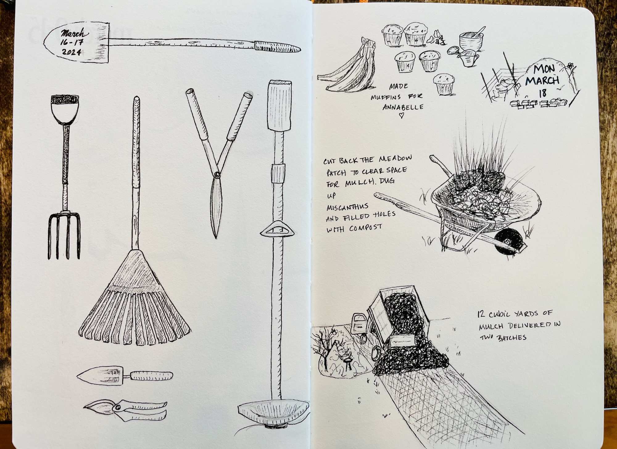 Back to regular life — with sketches!